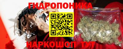 гашик Будённовск