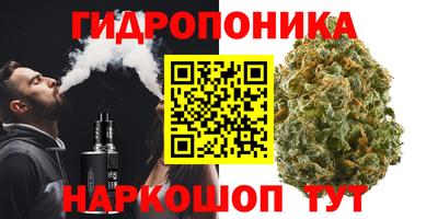 гашик Будённовск